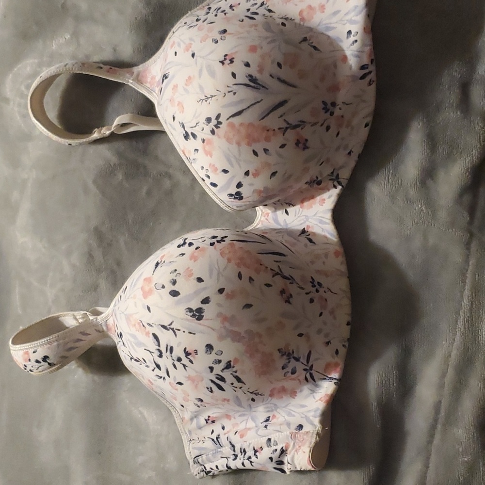 NWOT Laura Ashley flora bra 42D